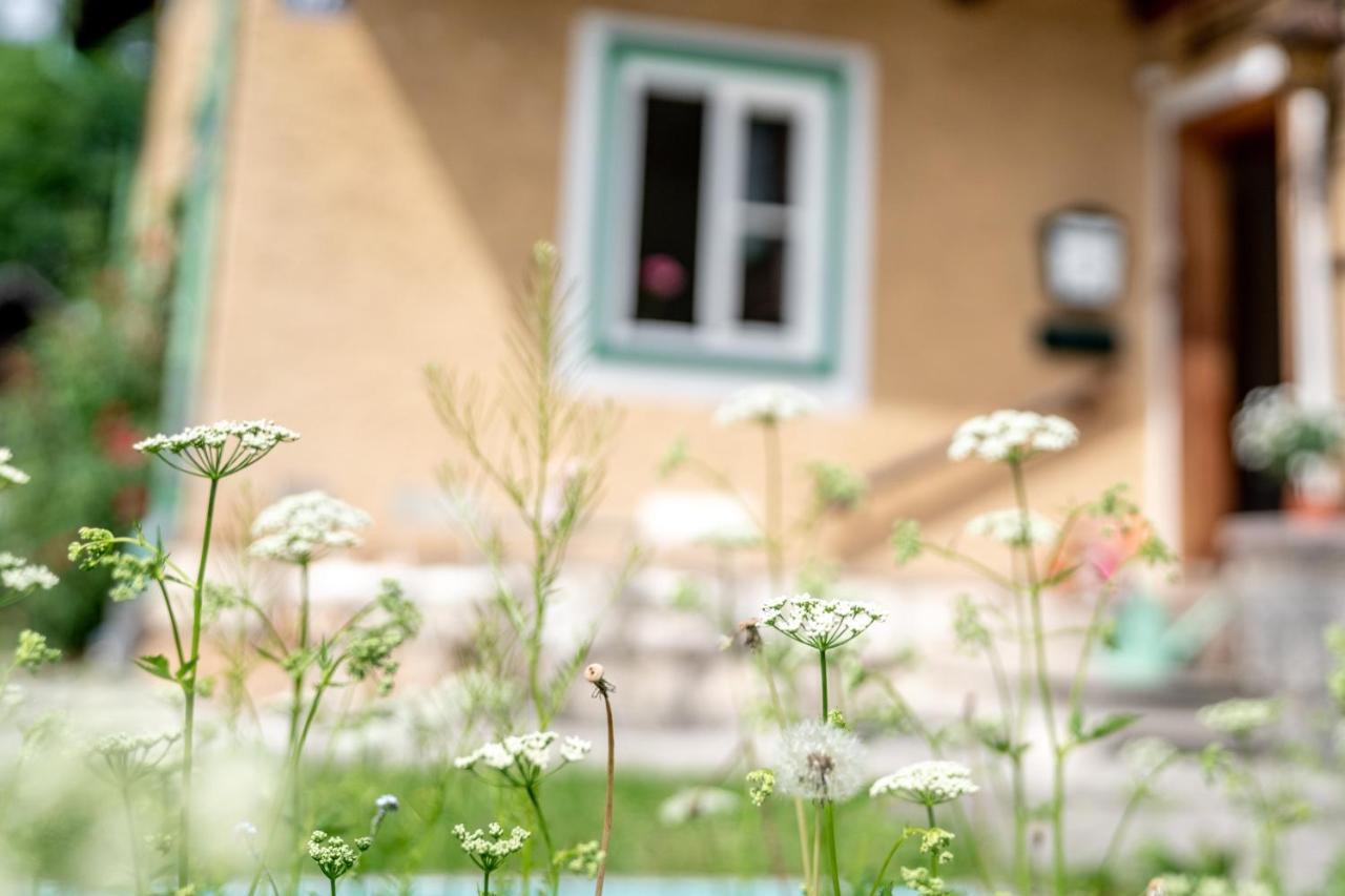 Apartamento Family Hideaway Mit Baby- Und Kleinkindausstattung Hallstatt Exterior foto